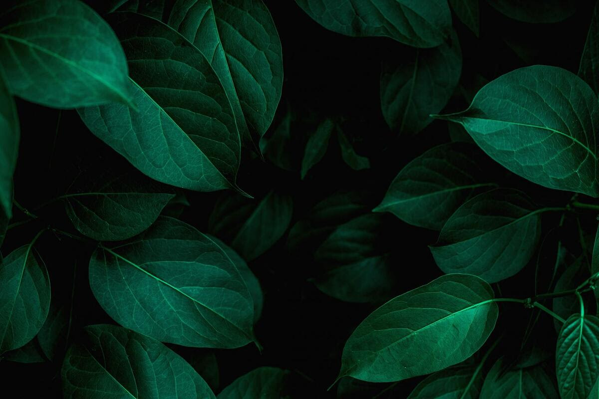 Blog Cover Image